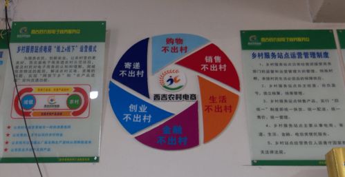 電子商務讓西吉農副產品搭上互聯網 快車